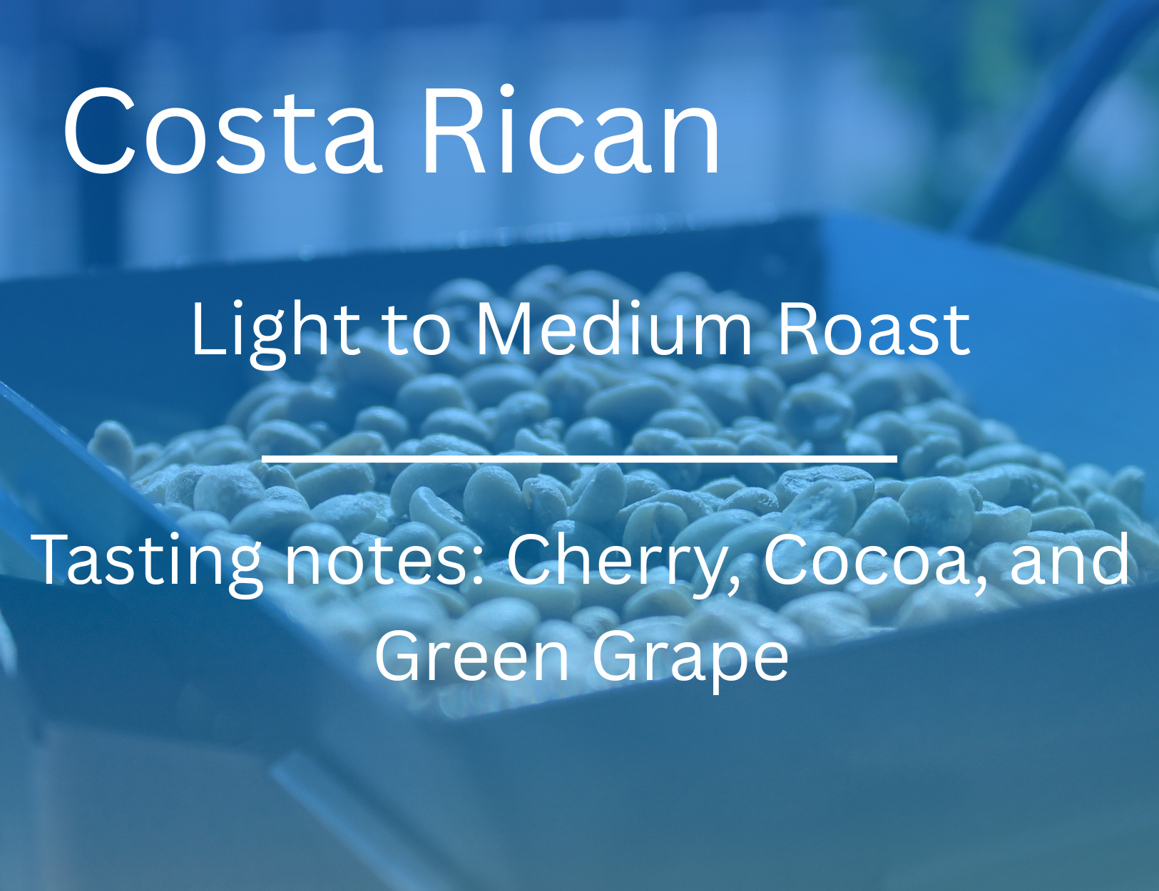 Costa Rican 8oz Whole bean